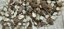 Load image into Gallery viewer, Tagua Sterling Pearl Posts