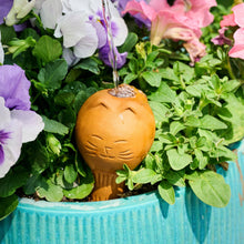 Load image into Gallery viewer, Self Watering Plant Pet - Cat