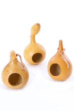 Load image into Gallery viewer, All Natural Calabash Gourd Bird House with Leather Hanging Loop