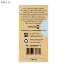 Load image into Gallery viewer, Socks that Protect Lions - Small