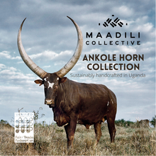 Load image into Gallery viewer, ANKOLE HORN Product Cards - SET of 25