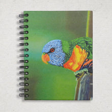 Load image into Gallery viewer, Large Notebook - Parrot