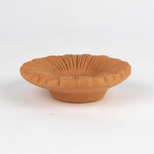 Load image into Gallery viewer, Bija Floral Seed Sprouter Set