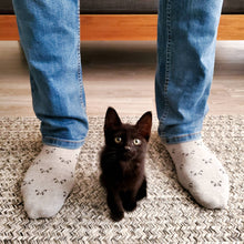 Load image into Gallery viewer, Socks that Save Cats (Gray Cats) - Small