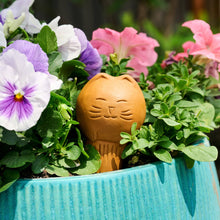 Load image into Gallery viewer, Self Watering Plant Pet - Cat