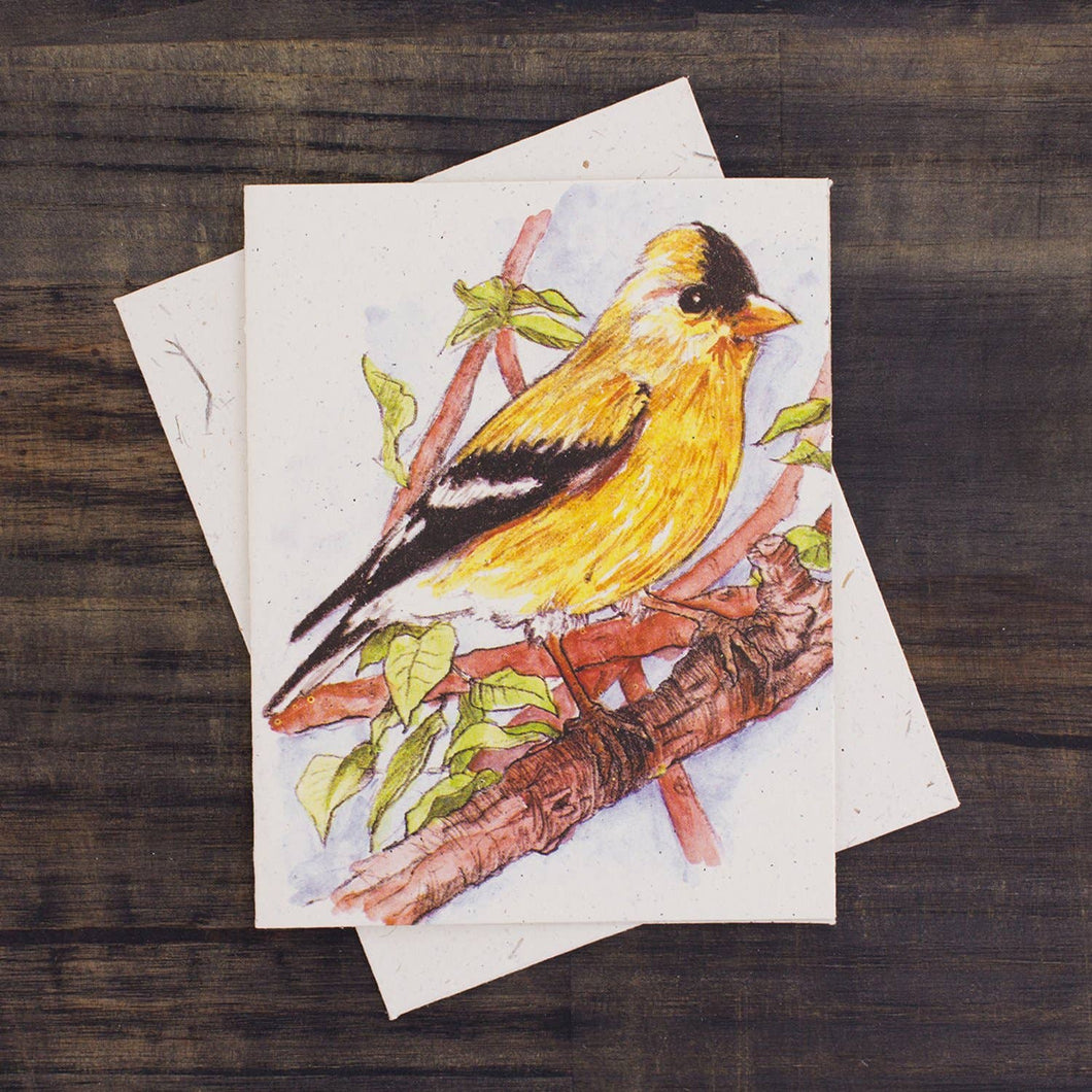 Blank Greeting Card - Goldfinch