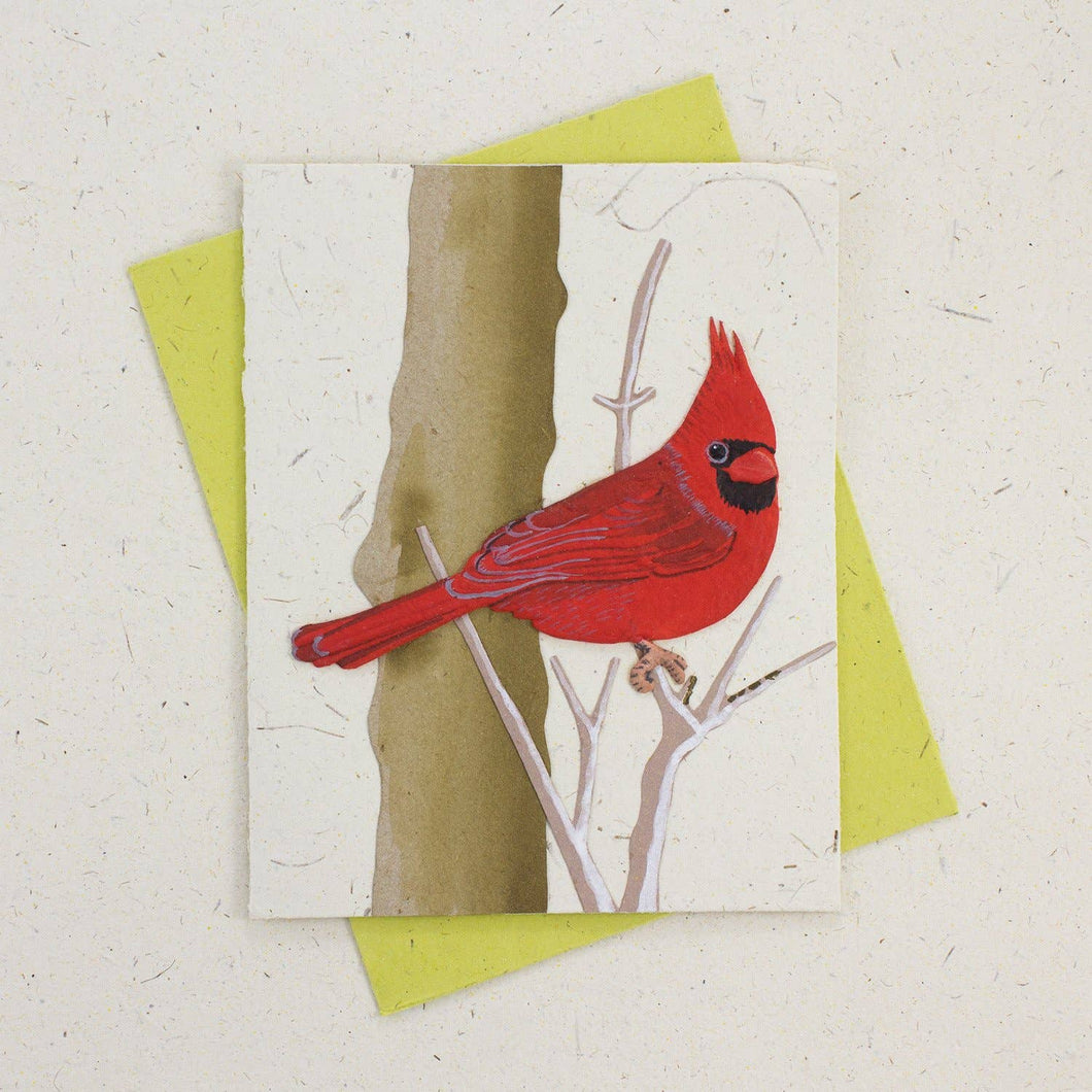 Blank Greeting Card - Cardinal Natural White