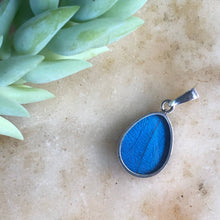 Load image into Gallery viewer, Blue Morpho Butterfly Pendant