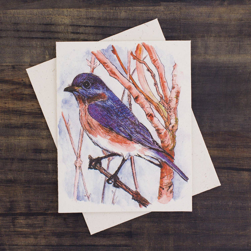 Blank Greeting Card -  Bluebird