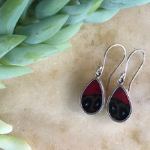 Load image into Gallery viewer, Claudina Agrias Butterfly Earrings