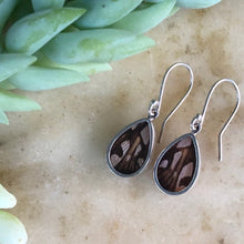 Load image into Gallery viewer, Juno Silverspot Butterfly Earrings