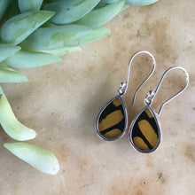 Load image into Gallery viewer, King Swallowtail Butterfly Earrings