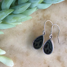 Load image into Gallery viewer, Leprieur's Glory Butterfly Earrings