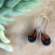 Load image into Gallery viewer, Monarch Butterfly Earrings