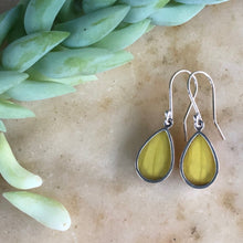 Load image into Gallery viewer, Orange-barred Sulphur Butterfly Earrings