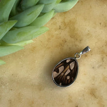 Load image into Gallery viewer, Juno Silverspot Butterfly Pendant