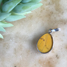 Load image into Gallery viewer, Orange-barred Sulphur Butterfly Pendant