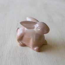 Load image into Gallery viewer, Natural Bunny Lying