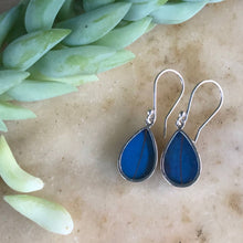 Load image into Gallery viewer, Blue Morpho Butterfly Earrings
