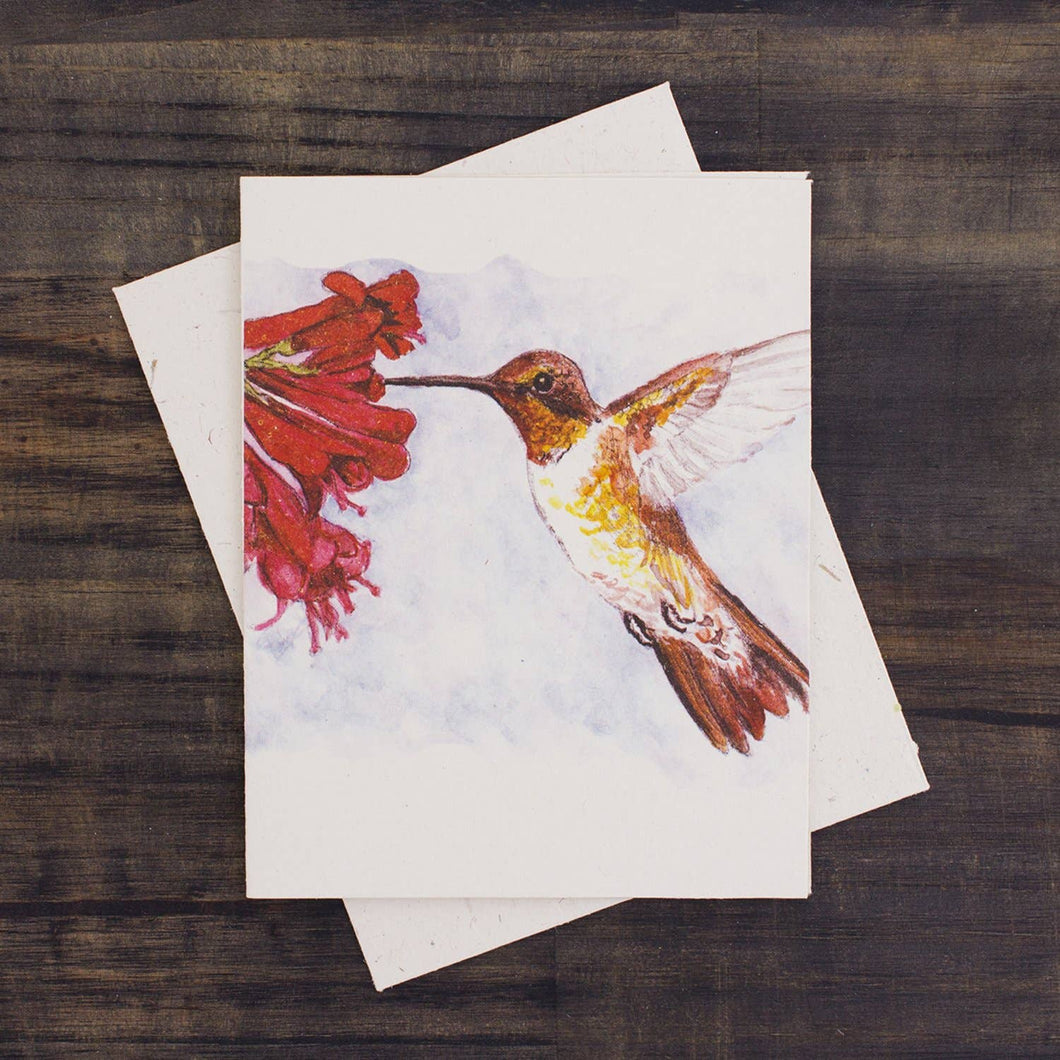 Blank Greeting Card - Hummingbird
