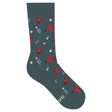 Load image into Gallery viewer, Socks that Protect Cardinals - Medium
