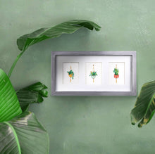 Load image into Gallery viewer, Bromeliad Macrame Hanger Mini
