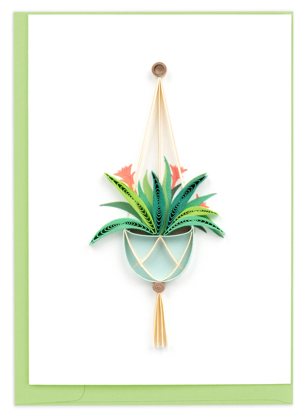 Bromeliad Macrame Hanger Mini