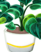 Load image into Gallery viewer, Monstera Everyday
