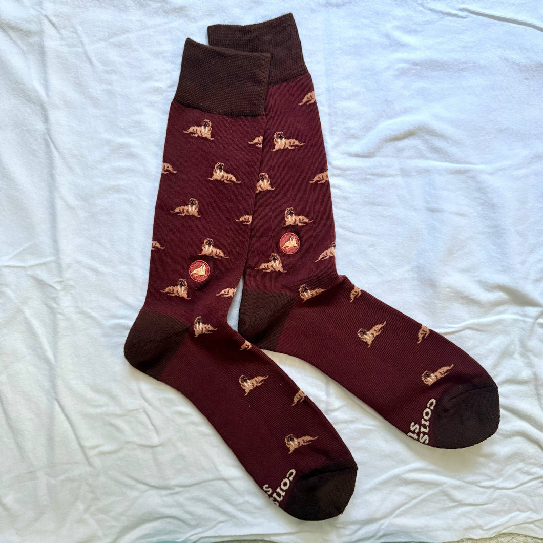 Socks that Protect Walruses - Small