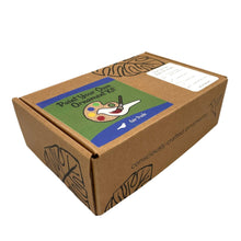 Load image into Gallery viewer, Paint Your Own Backyard Bird Ornament Kit

