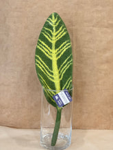 Load image into Gallery viewer, Hand Felted Wool Flowers - Banana Leaf
