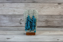 Load image into Gallery viewer, Crochet Earrings
