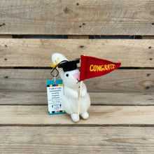 Load image into Gallery viewer, Graduation White Squirrel with Congrats Flags
