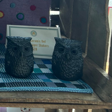 Load image into Gallery viewer, Black Ceramic Owl Salt &amp; Pepper Shakers
