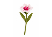 Load image into Gallery viewer, Hand Felted Wool Flowers - Hibiscus
