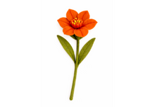 Load image into Gallery viewer, Hand Felted Wool Flowers - Hibiscus
