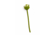 Load image into Gallery viewer, Hand Felted Wool Flowers - Double Peony
