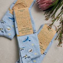 Load image into Gallery viewer, Socks that Protect Songbirds - Medium
