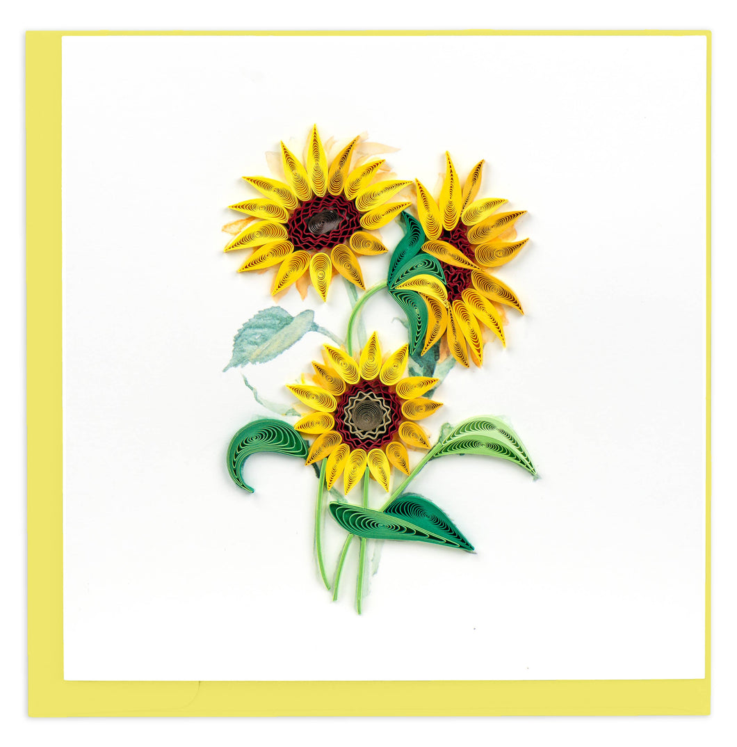Wild Sunflowers