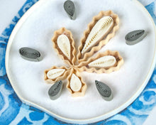 Load image into Gallery viewer, Sand Dollar Mini
