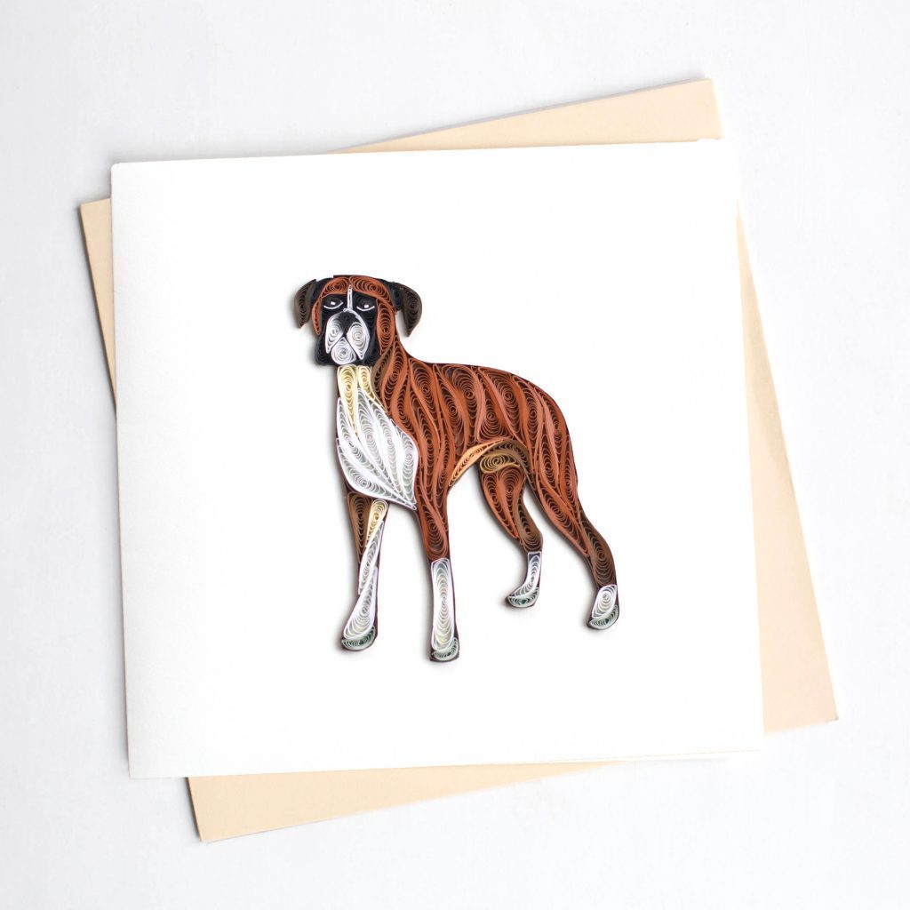 Boxer