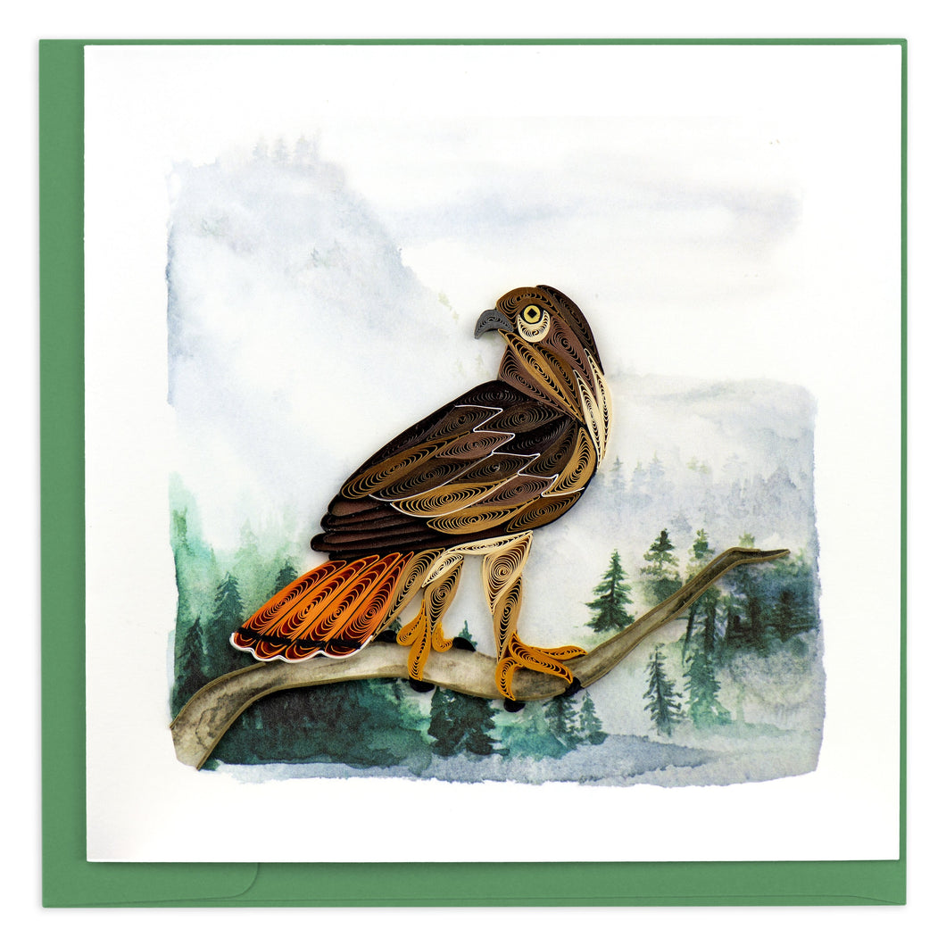 Red-tailed Hawk