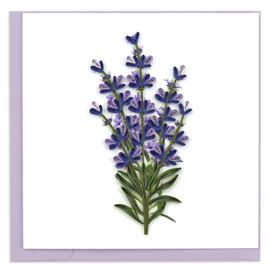 Lavender