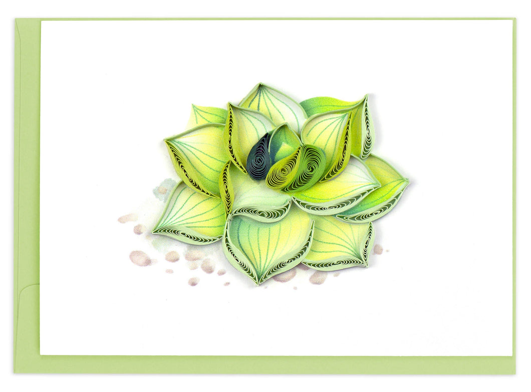 Succulent Plant Mini