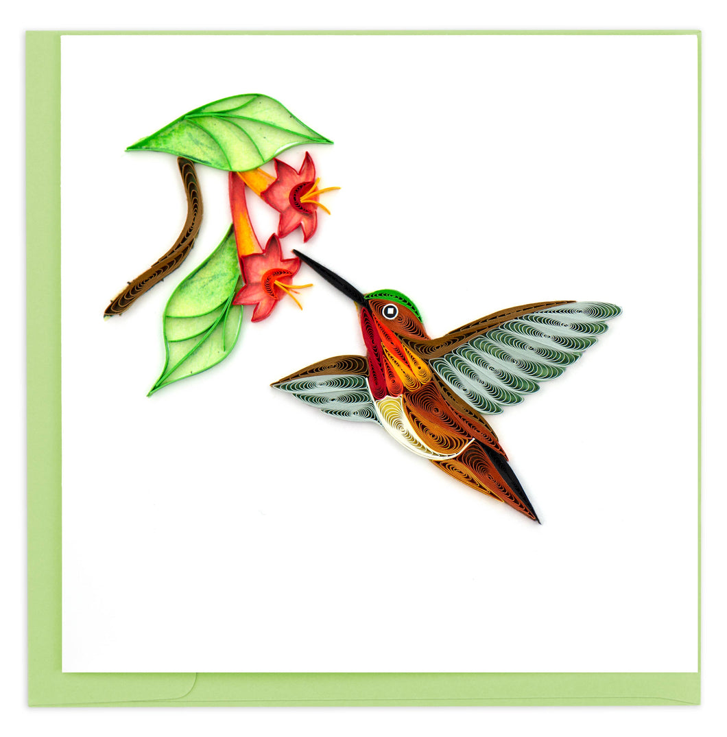 Rufous Hummingbird