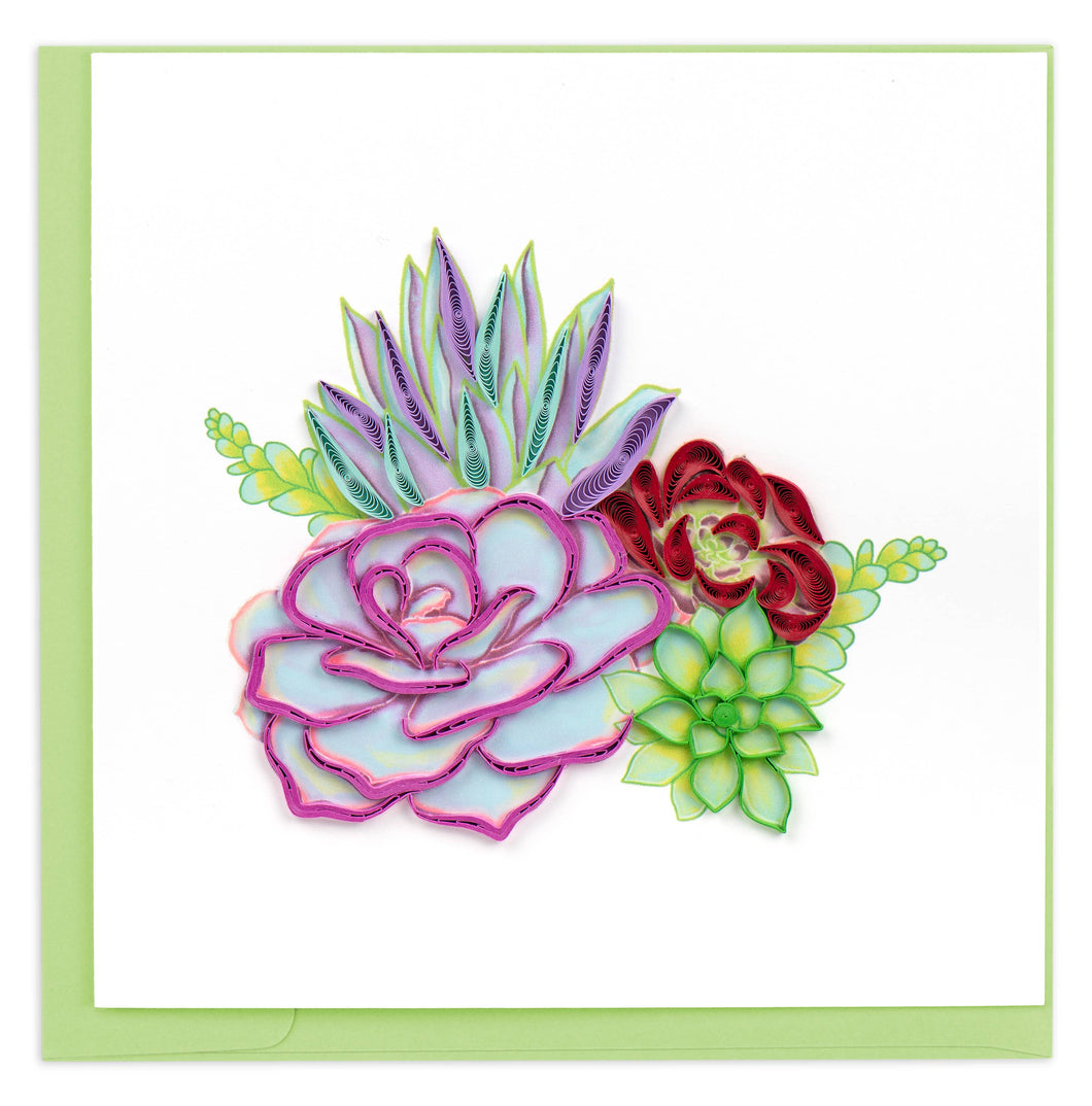 Vibrant Succulents