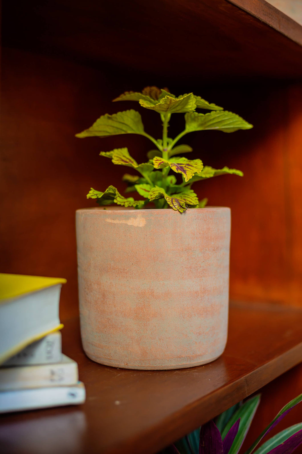 Concrete-washed Terracotta Cylinder Planter - No Plate/Large
