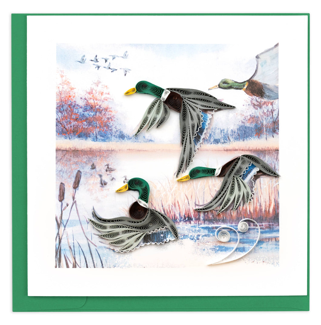 Duck Migration
