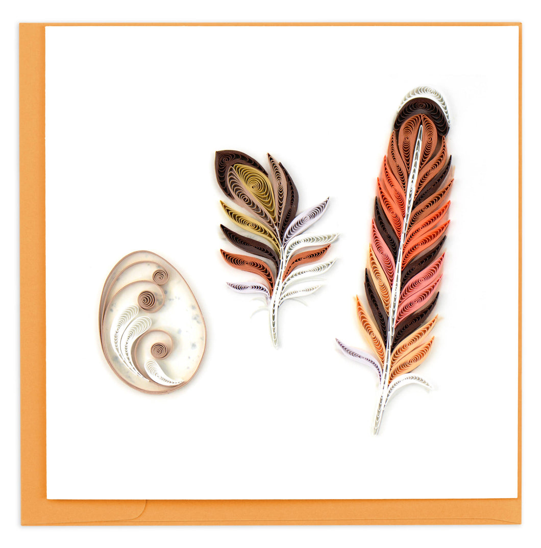 Story of a Feather