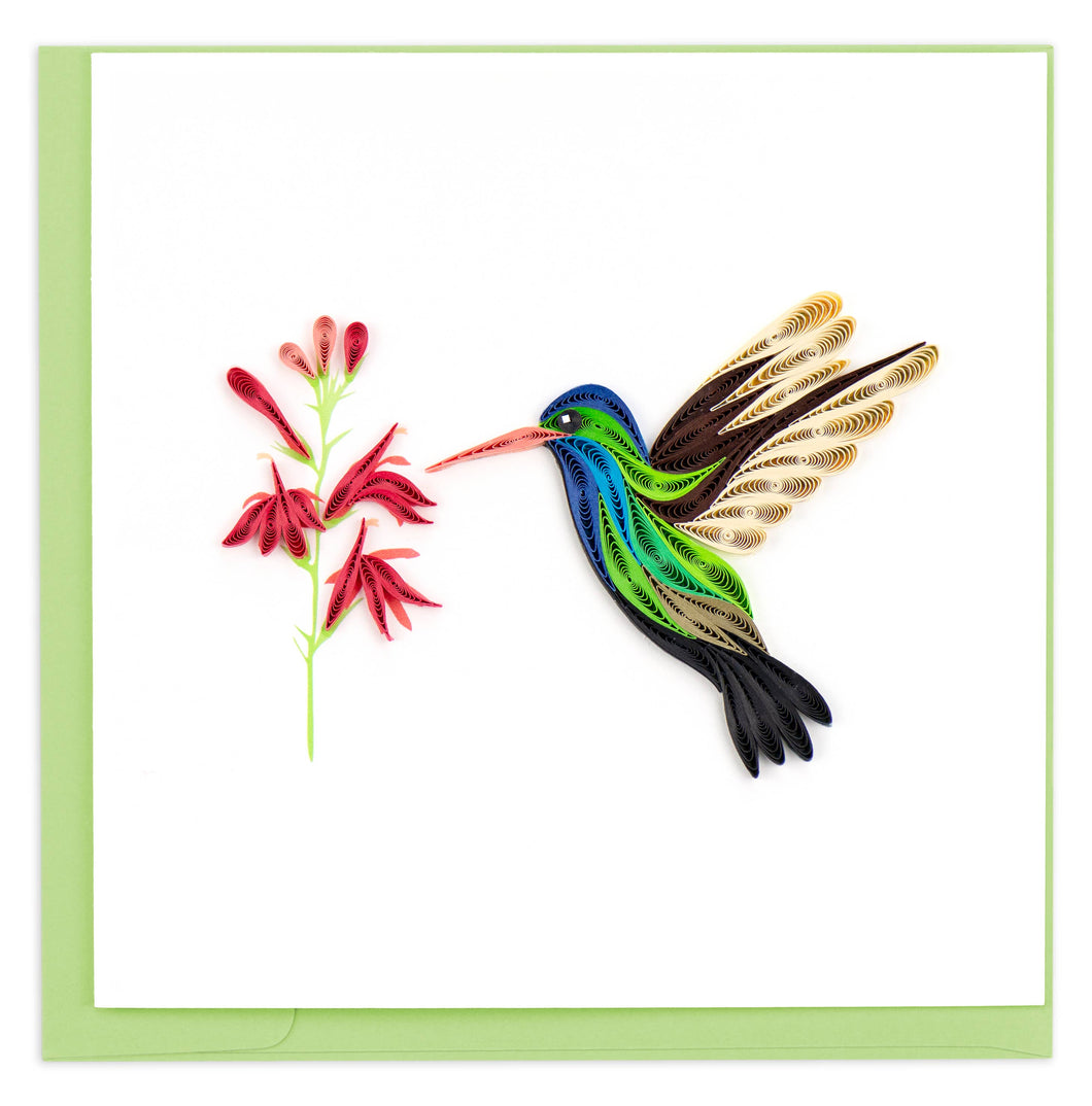 Broad-billed Hummingbird